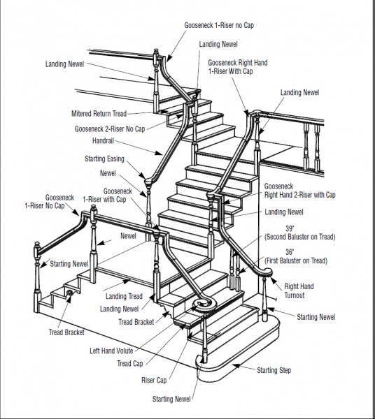 Anatomy 101